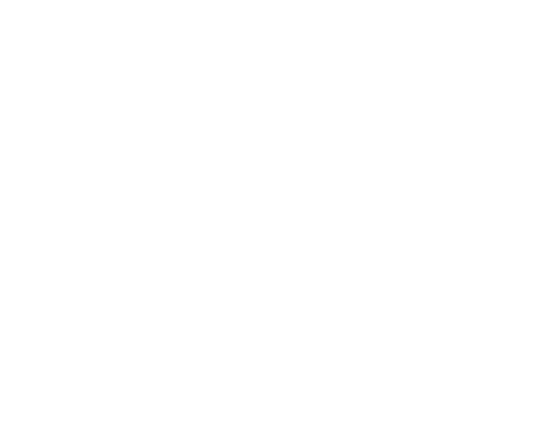 Travel Nexus